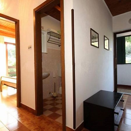 Apartment Iva Molunat Kültér fotó